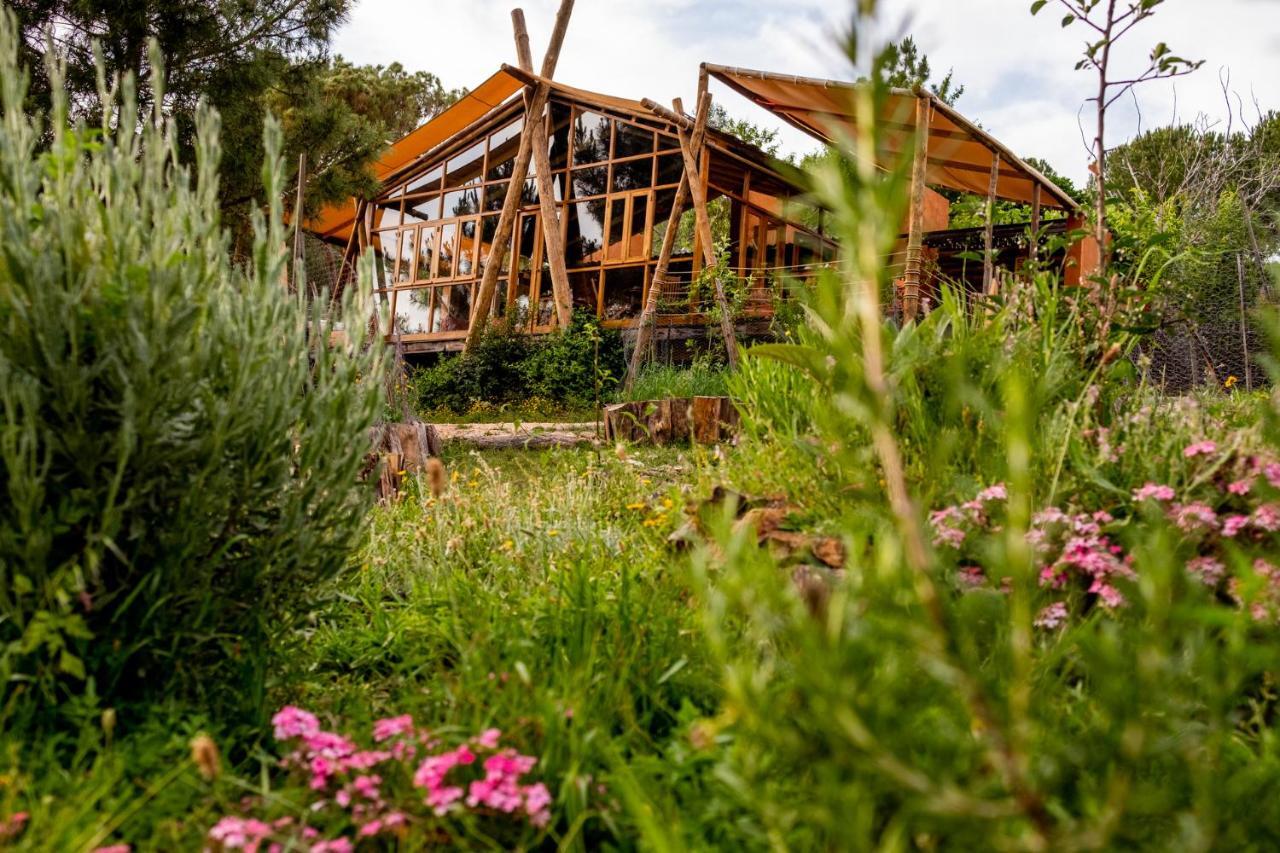 Hotel Quinta Alma - Ecological Retreat Farm Aljezur Esterno foto