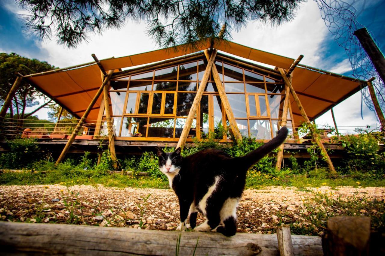 Hotel Quinta Alma - Ecological Retreat Farm Aljezur Esterno foto